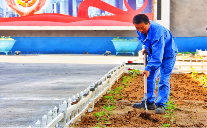 選煤公司龍華選煤廠：小菜園里種菜忙 自給自足歡樂多1.png