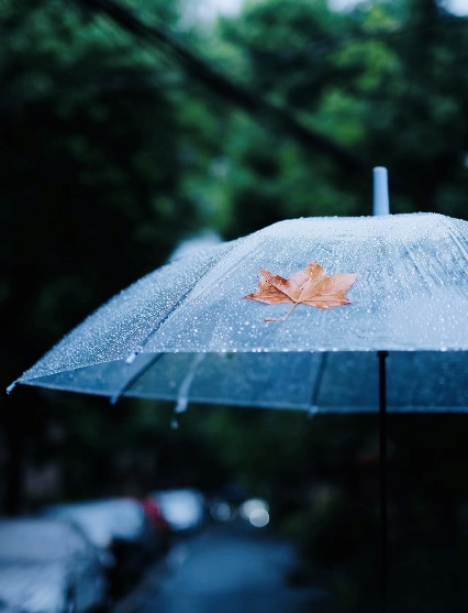 趙子涵 詩(shī)歌——《秋雨》